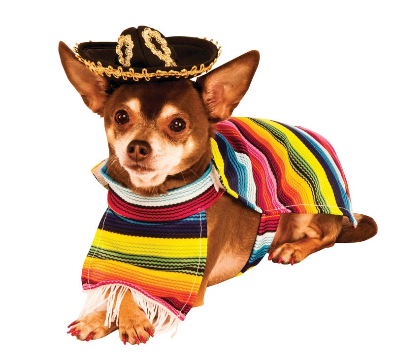 Rubies Serape and Hat Pet Costume Pet Costume for Dogs or Cats, Large - Image 1